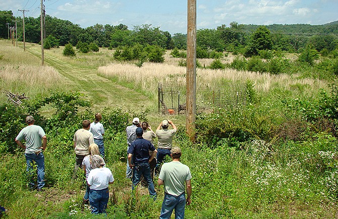 Wildlife scientists at a workshop examine feral hogs in a trap in Missouri.