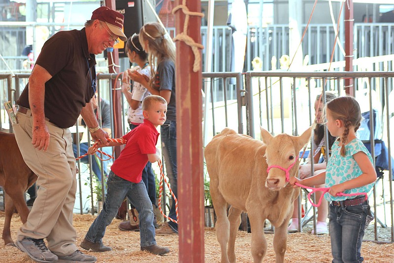 Lydia Smithee, 4, of Kingdom City practices tipping her hat to grandfather Ron Smithee during the fun horse show at the 2013 Callaway Youth Expo. This year's expo takes place July 9-12 at the Auxvasse Lions Club Park. The youth fun show is at 7 p.m. on July 10, with $1 entry per class.