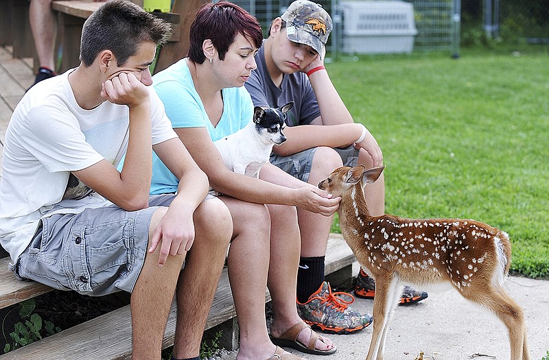 After playing with Nora, Luke Dyer, 16, left, and Adam Dyer, sit down to rest while their mother, April Dyer, pays the young deer some attention. 