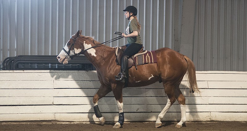 A rider leads her horse inside the Indoor Riding Area on the William Woods University campus Tuesday during an English hunter pleasure session at the school's summer riding program.