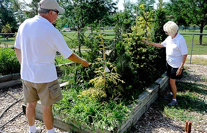 Jim Schwieterman, left, and Janelle Schwieterman, right, examine a tree and discuss the variety of colors and shapes that conifers and evergreens offer. These trees will be transplanted into the new conifer garden in north Jefferson City, a cooperative project between the Jefferson City Parks, Recreation and Forestry Department and the Central Missouri Master Gardeners.