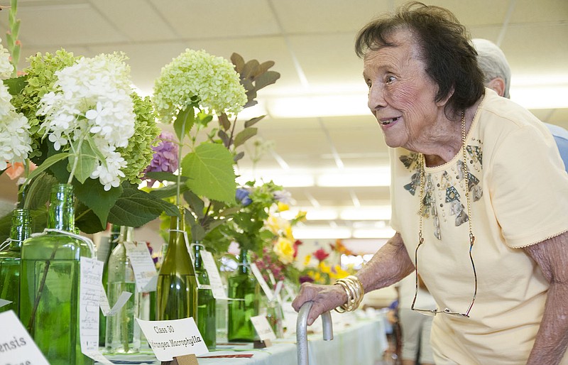 Betty Hardin of Fulton smiles while viewing hydrangeas Thursday at First Christian Church during the Fulton Garden Club's "Back to Gardening: Show Me" flower show. Hardin was the horticulture sweepstakes winner with about 40 entries.