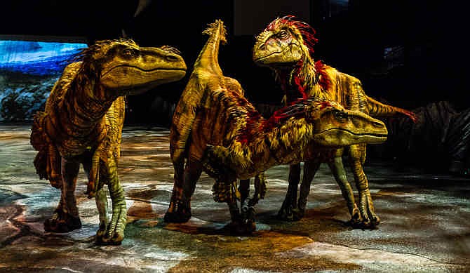 This image released by Boneau/Bryan-Brown shows three lifelike dinosaurs, part of the "Walking with Dinosaurs, the Arena Spectacular," in New York. The show, based on an award-winning BBC Television series, travels 200 million years from Triassic to the Jurassic and Cretaceous periods, and features 10 species of dinosaur. It is produced by Global Creatures, the Australian company behind the new musical "King Kong," the Tony Award-winning ''War Horse" and "How To Train Your Dragon."