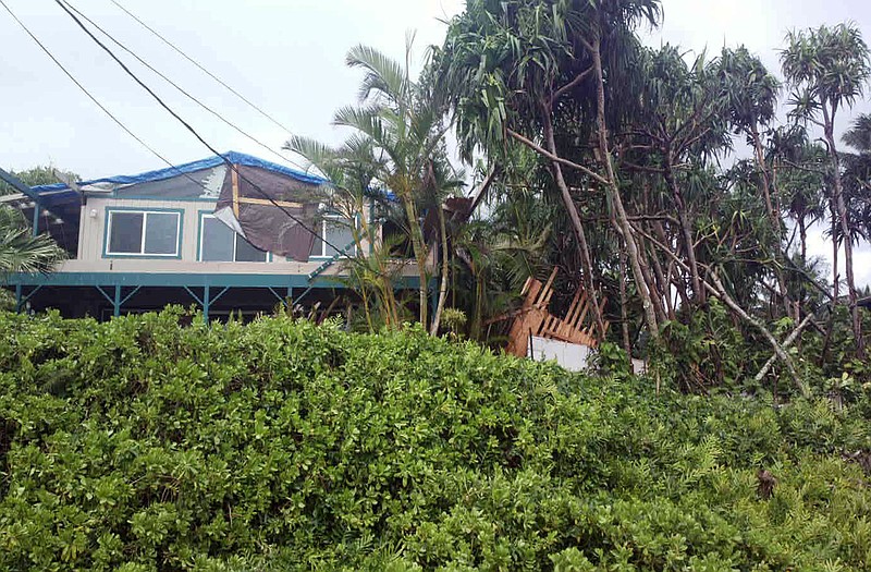 
Tropical Storm Iselle, knocked down trees, battered roofs and left the isolated area of Puna, Hawaii, without electricity. 