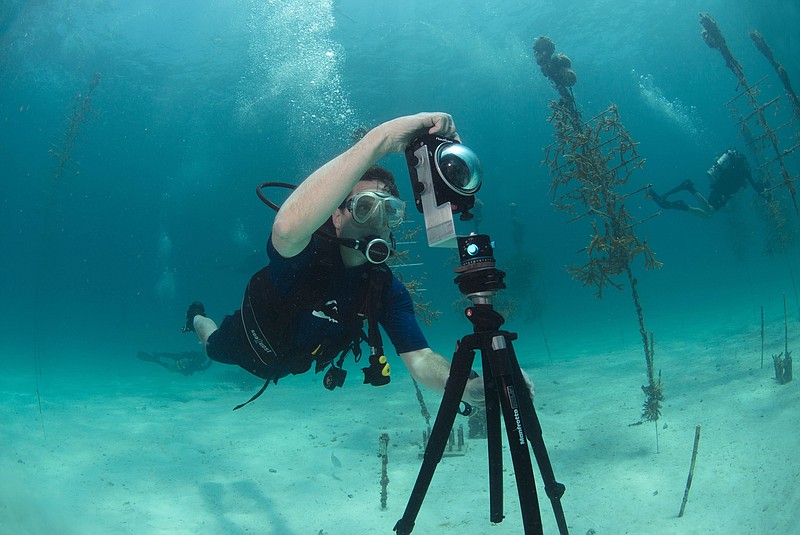 Mitchell Tartt, of the Office of National Marine Sanctuaries, trains to take 360-degree panoramas of the corals off the coast of Islamorada, Fla. U.S. government scientists hope people will soon be able to go online and get a 360-degree view of reefs and other underwater wonders, much like Google map's "street view" lets people look at homes.