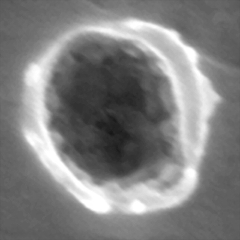 A dust particle impact on Al foil collector. Scientists said seven microscopic particles collected by NASA's comet-chasing spacecraft, Stardust, appear to have originated outside our solar system.