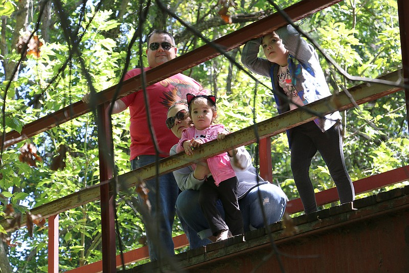 Derek and Lindsey Hux watch the plastic, colored ducks float down Stinson Creek with their daughters Lilli and Lexi at the Great American Rubber Duckie Race on Sept. 13. The race's proceeds went to the Callaway County Humane Society. Lexi Hux said she enjoyed watching the ducks float down the creek, "I liked that all of them were in a big group and at the same place, it (the race) was fair," Lexi Hux said.