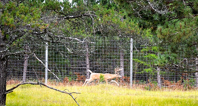 The veto of Senate Bill 506 was sustained in September 2014 to keep captive deer classified as wildlife and under the control of the Missouri Department of Conservation.