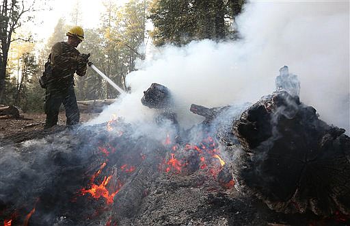 Firefighter Cameron Andersen, of the US Forest Service, pours water on burning embers while clearing hot spots of the King fire in the El Dorado National Forest near Georgetown, California Thursday. More than 3,500 firefighters from various agencies are battling the blaze that started Saturday and has burned more than 70,000 acres.