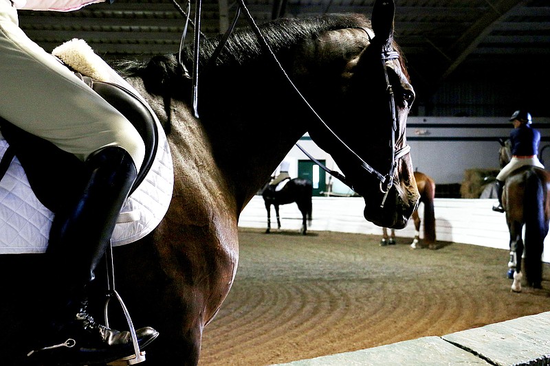 Horsewomen line up their horses before completing a high-jump exercise at the William Woods University Sept. 21.