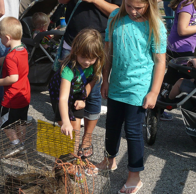 Children enjoyed the Ozark Ham and Turkey Petting Zoo hosted by the California FFA.