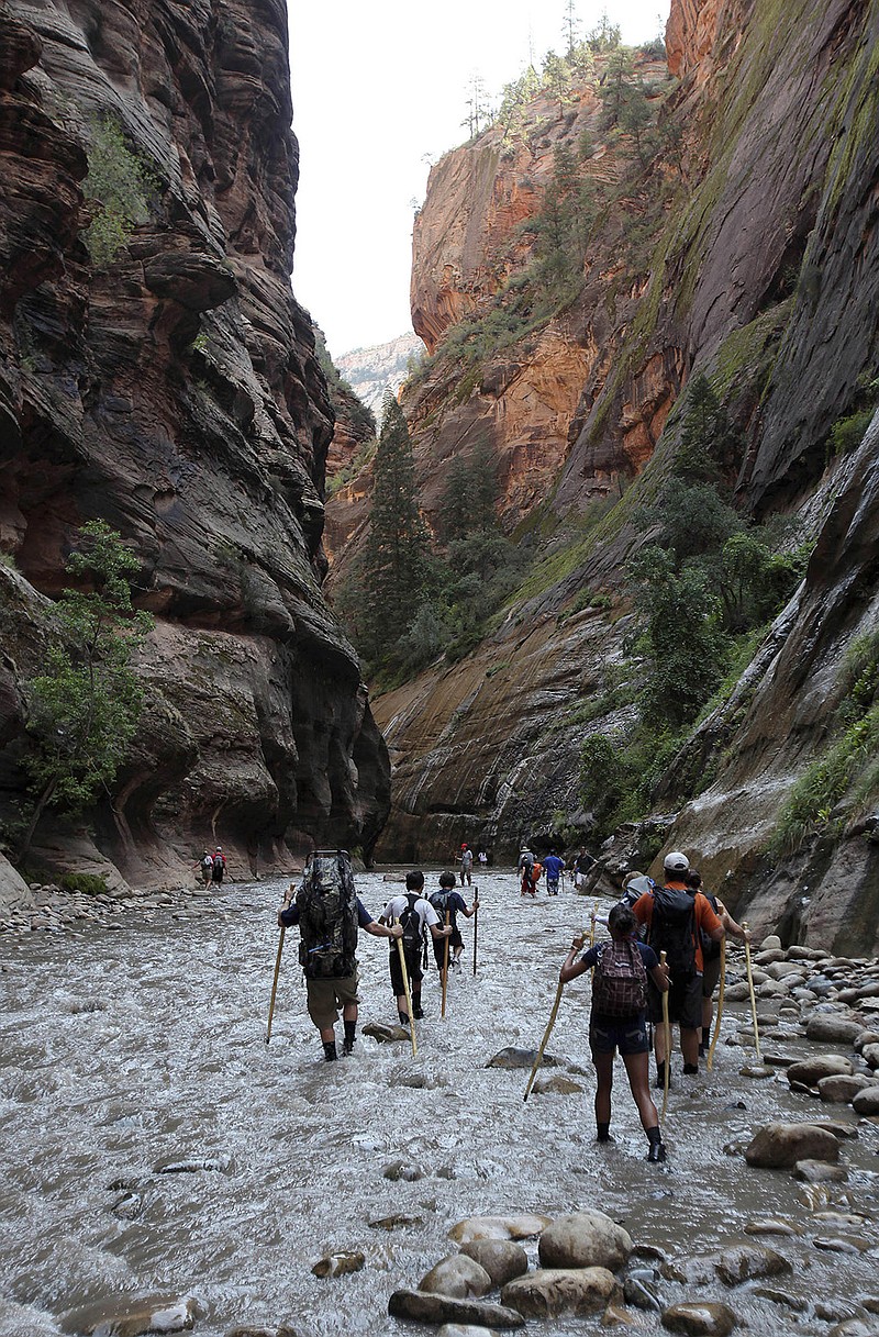 Hikers wade through the cold Virgin River along the "Narrows," in Zion National Park, Utah. A 34-year-old man was found dead on Sunday in Zion National Park after rising floodwaters trapped him in a narrow canyon that is home to one of the park's best-known hiking trails.