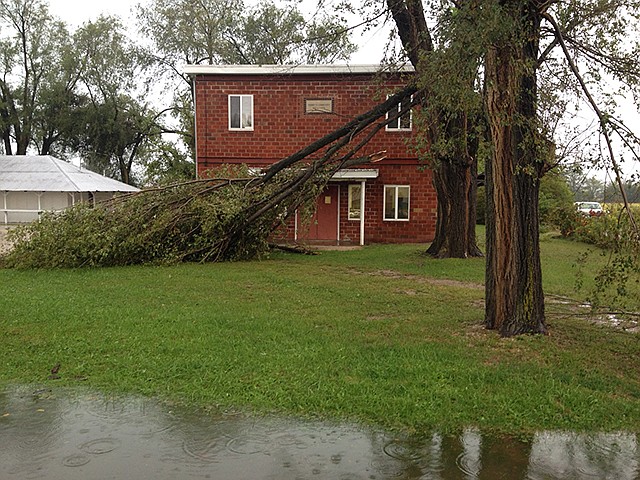 This tree was seen partly over an awning of a Tebbetts lodge Thursday morning after Wednesday night's severe storms.