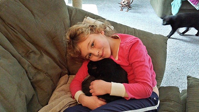 Maelyn Cartee is pictured with Mr. Socks. The seven-year-old animal lover was trampled by a cow in a pasture near her Russellville home on Sept. 30, 2014. She was placed in the ICU at St. Louis Children's Hospital with head trauma. 