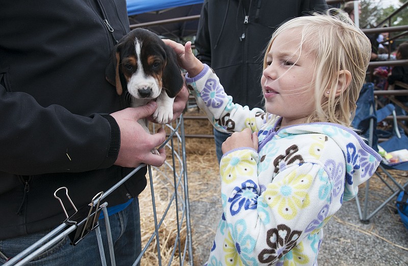 Bella Yates, 4, pets a puppy Friday at Fulton High School during the FFA's petting zoo.