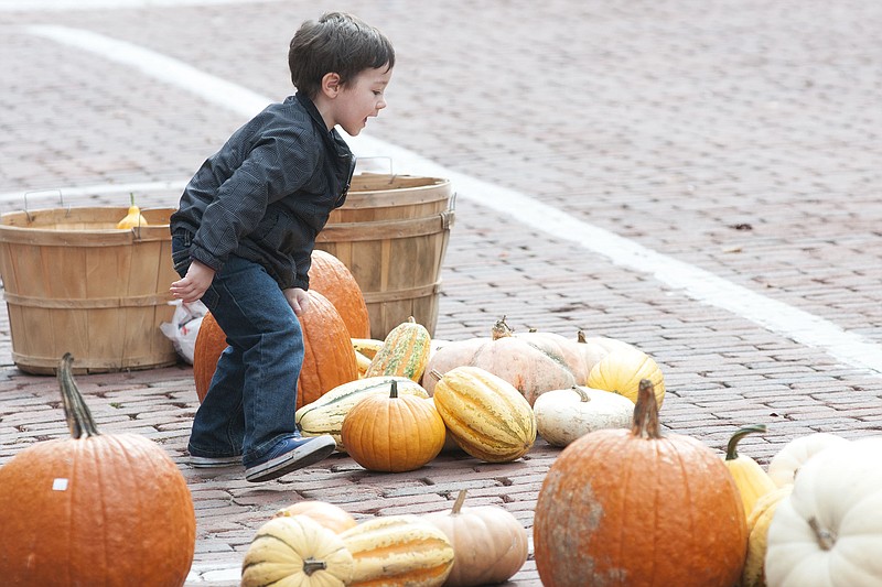 A young boy looks at pumpkins for sale at "Autumn on the Bricks" Saturday on Court Street.