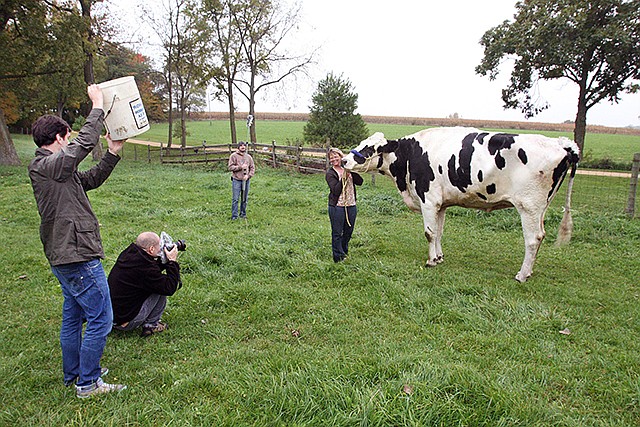 Patty Hanson is all smiles for the camera as she holds onto her Holstein cow Blosom while photographers from the Guinness World Records in London document the world's tallest cow for the 2016 book of world records, in Orangeville, Illinois. Hanson received notification of the distinction for the world record in August about Blosom, who measured 6 feet 4 inches tall.