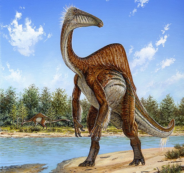 Nearly 50 years ago, scientists found two large powerful arm bones of a new dinosaur species in Mongolia. Now scientists have found the rest of the dinosaur and have new descriptions for the dinosaur: "goofy" and "weird."