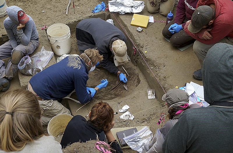 University of Alaska Fairbanks, members of the archaeology field team watch as University of Alaska Fairbanks professors Ben Potter and Josh Reuther, left, excavate the burial pit at the Upward Sun River site in central Alaska. 
