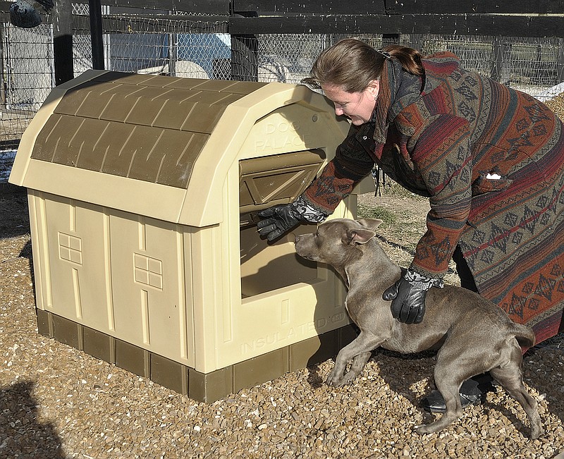 Jackie Fischer introduces Delilah to her new doghouse, one of 18 that the Heart of Missouri Humane Society (HMHS) purchased and donated to Callaway Hills Animal Shelter. Fischer is president of the HMHS and saw the need for insulated housing to protect the animals from the extreme cold. Most of the houses were delivered Tuesday with the remainder expected to arrive today.