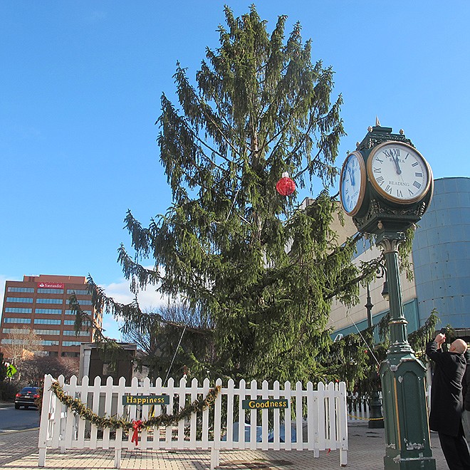 City Councilman Jeff Waltman photographs the city's official Christmas tree on Dec. 12, in Reading, Pennsylvania. Waltman fought to save the 50-foot Norway spruce that many residents compared to the spindly tree in "A Charlie Brown Christmas," and the city is now embracing the "Peanuts" theme.