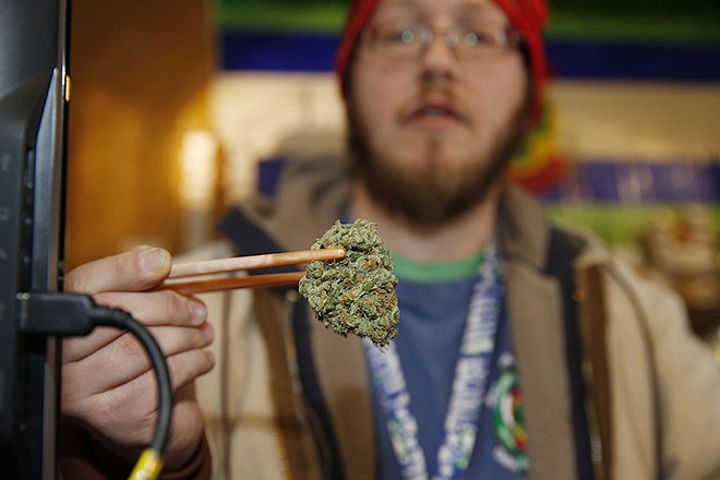 Sales associate Matt Hart uses a pair of chopsticks to hold a bud of Lemon Skunk, the strain of highest potency available at the 3D Dispensary, on Friday, in Denver. While polls show more voters favoring the legalization of marijuana, law enforcement officials in Nebraska and Oklahoma have asked the U.S. Supreme court to end Colorado's legalized pot experiment.