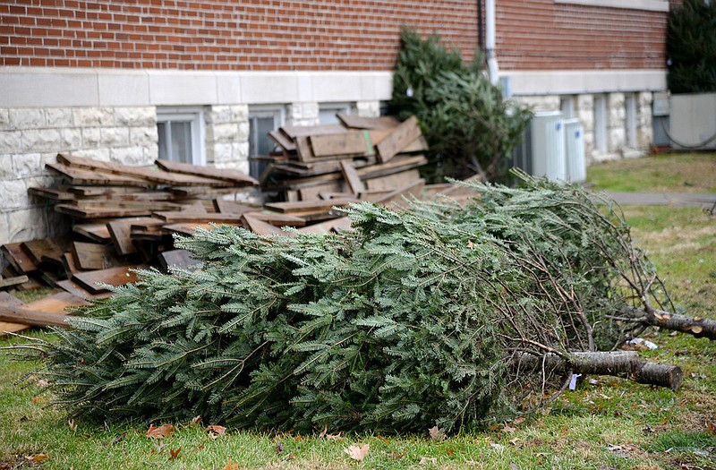 With the Optimist Club tree lot dismantled, only four Christmas trees remained without a home at the lot early Christmas eve. Now attention turns to getting rid of the trees that were purchased.