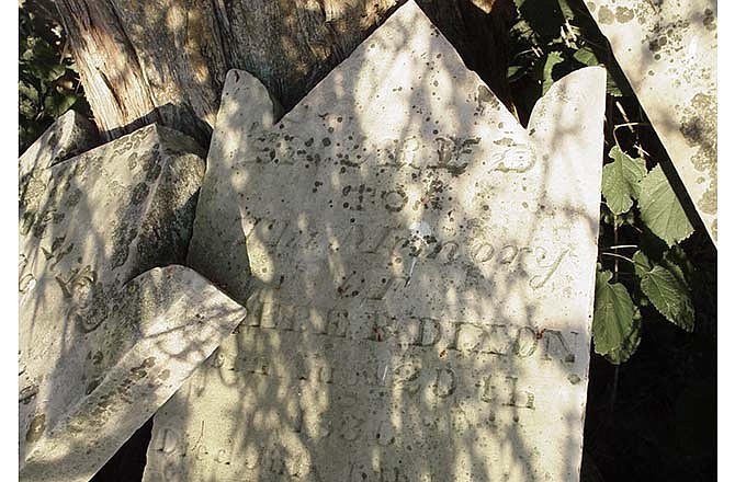 Headstones belonging to the nearly 200-year-old Dixon Family Burial Grounds rest beneath a tree prior to the development of Pioneer Trail Drive.