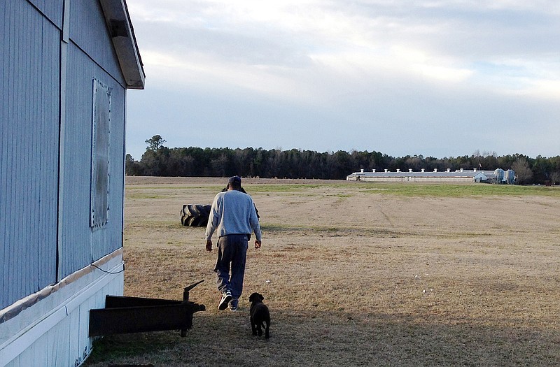 Richard Brown walks around his trailer in Duplin County, N.C., that is adjacent to a hog farm, background, owned by Butch Norman, who fattens pigs for slaughter for pork producer Murphy-Brown. Richard Brown lives in the nations top county for hog production and is one of the hundreds who've joined the federal lawsuit.
