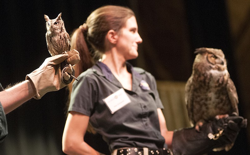 Data, an Eastern Screech Owl, and Coal, a Great Horned Owl, sit perched on the hands of two bird trainers from the World Bird Sanctuary Wednesday inside William Woods University's Cutlip Auditorium. The William Woods Biology Club hosted the "All About the Owls" event to promote education of the college's mascot. World Bird Sanctuary representatives discussed six owls - Eurasian eagle, great horned, eastern screech, tawny, barn and European barn - on Wednesday.