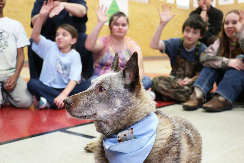 Missouri School for the Deaf students ask Eric Melvin questions about Angelyne the amazing deaf cattle dog during their visit Wednesday.