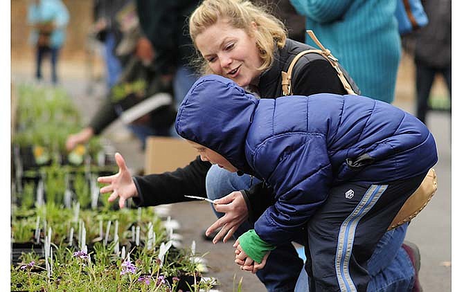 Kristina Bernskoetter educates her son Trent about some of the wildflowers they're picking while attending Saturday's annual native plant sale at Runge Nature Center in Jefferson City.