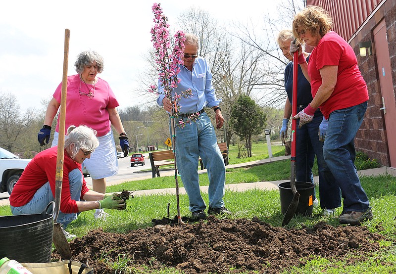 Fulton Garden Club members plant a tree outside of the John Harris Community Center Thursday afternoon.