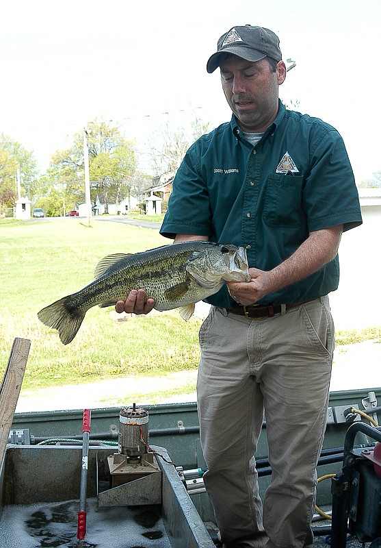 Conservation Department Fisheries specialist Scott Williams shows a five pound bass netted at the lake at Proctor Park on Student Conservation Day.