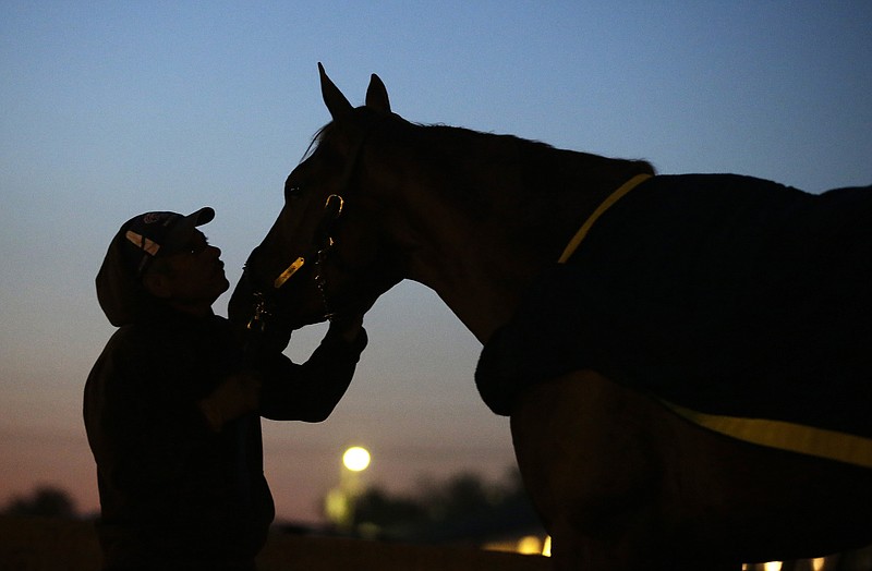 Kentucky Derby entrant Dortmund gets a bath Friday after a morning workout for today's 141st running of the Kentucky Derby at Churchill Downs in Louisville, Ky.