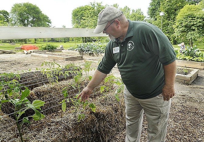 Steve Stacey, past president of the Central Missouri Master Gardeners, talks about the popularity of of a new form of gardening called straw bale gardening.