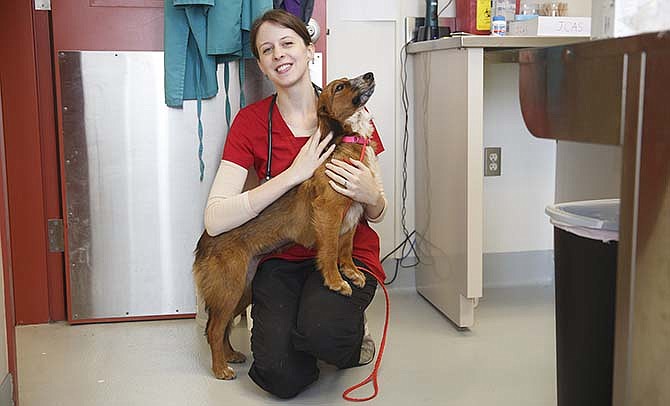 Dr. Jessica
Thiele, who
has worked as
a vet for the
Jefferson City
Animal Shelter
for about two
weeks, holds
Sally, a border
collie mix she
is considering
adopting.