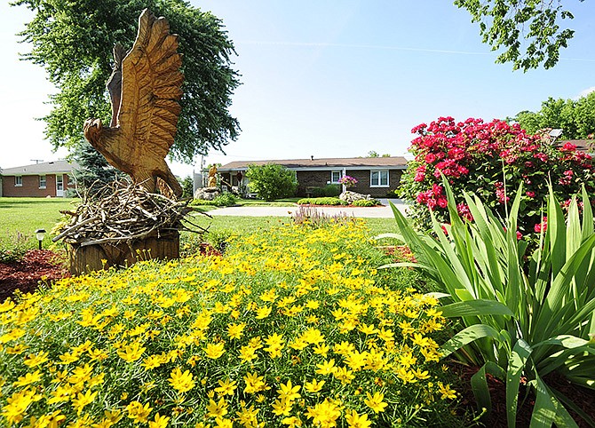 A large, red-mulched perennial bed in Linda Lenox's backyard features colorful blooms including yellow tickweed (a variety of coreopsis), pink knockout roses, yellow yarrow and purple salvea - all surrounding an imposing wooden eagle sculpture. Lenox received the Yard of the Month award for her gardening efforts at her 606 Ellis Blvd. home.
