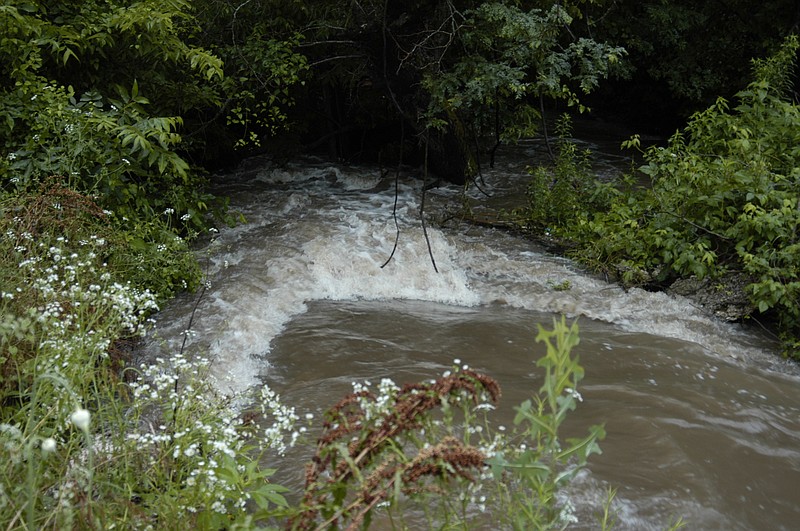 The water rushes in this small stream as it rises, creating some danger for anyone daring to take too close a look.