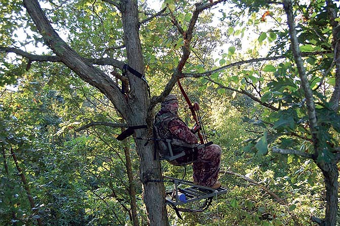 A well-placed tree stand is key to archery success early in the season.