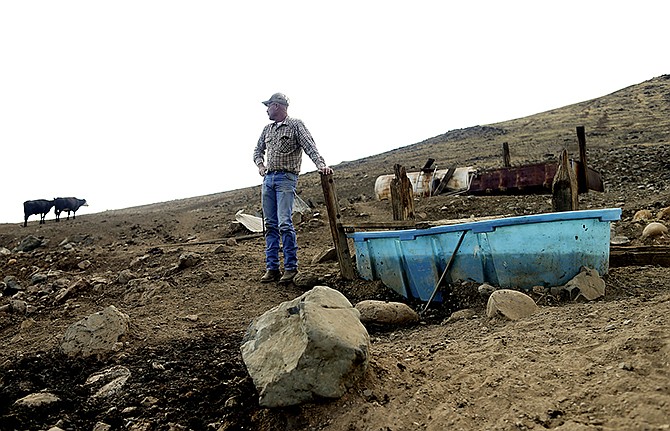 Rancher Steve Drumright looks toward his cattle, grazing on a barren hillside in Tulare County, outside of Porterville, California. Drumright's herd is forced to search the parched Tulare County hills for the dwindling vegetation as California endures a fourth year of drought. 