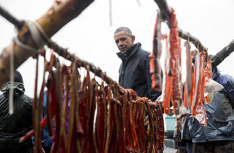 President Barack Obama looks at salmon being smoked while meeting with local fishermen and families on Kanakanak Beach in Dillingham, Alaska. Obama is on a historic three-day trip to Alaska aimed at showing solidarity with a state often overlooked by Washington, while using its glorious but changing landscape as an urgent call to action on climate change.
