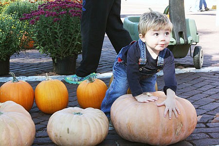 Greyson Coffelt, 1, attempts to pick up a large pumpkin in the Fulton Farmers' Market during the second annual Autumn on the Bricks Saturday.