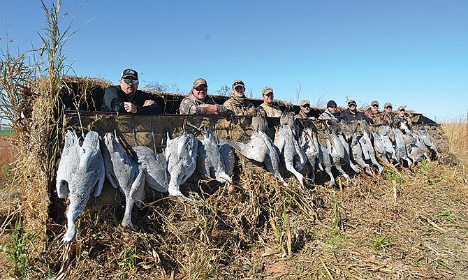 
Hunting sandhill cranes is a common practice in the Central Flyway of western states.