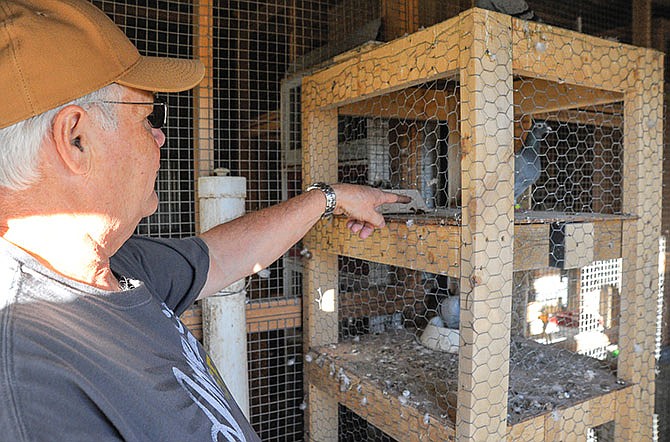 Larry Burlingame raised homing pigeons 40-plus years ago before he had a family. Now, with his grandsons in
rural Russellville, they have taken up the hobby again.