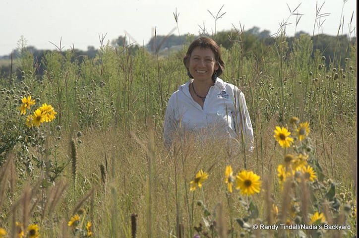 Nadia Navarrete-Tindall, an associate professor and native plant specialist for the Lincoln University Cooperative Extension, leads the extension's Native Plants Program, which works to increase appreciation of native edible plants in Missouri.