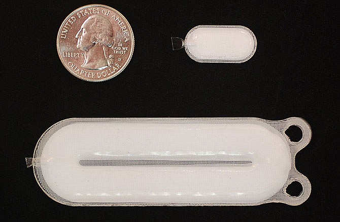 This photo provided by ViaCyte shows the Encaptra delivery system, placed next to a quarter to give a size perspective. Johnson & Johnson, continuing its long quest for a type 1 diabetes cure, has agreed that biotech company ViaCyte can acquire BetaLogics' assets to speed development of the first cell treatment that could fix the life-threatening disorder. The Encaptra delivery system contains precursor pancreatic cells that are implanted under the skin and mature into insulin-producing cells.