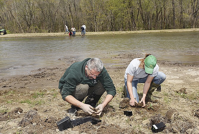 Adrian Andrei, left, and Miranda Brandt plant some of the 300 special obligate wetland species in a newly developed wetland area at Carver Farms on Bald Hill Road. Andrei is a professor of wildlife science in the department of agriculture at Lincoln University and Brandt is working toward a degree in natural resources management.