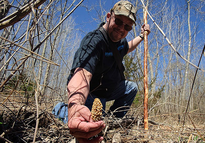 Bryon Paneitz plucks a morel mushroom from the ground while mushroom hunting in the Smoky Waters Conservation Area on Saturday morning.