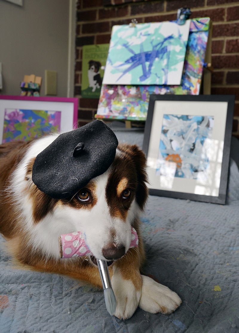 Ivy the Australian Shepherd poses with her paintings on April 2, 2016 in Charlotte, N.C. 